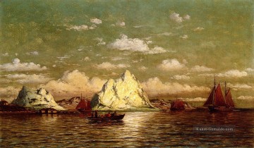  bradford - Arctic Harbor William Bradford